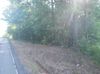 2215 Ruffner Rd photo